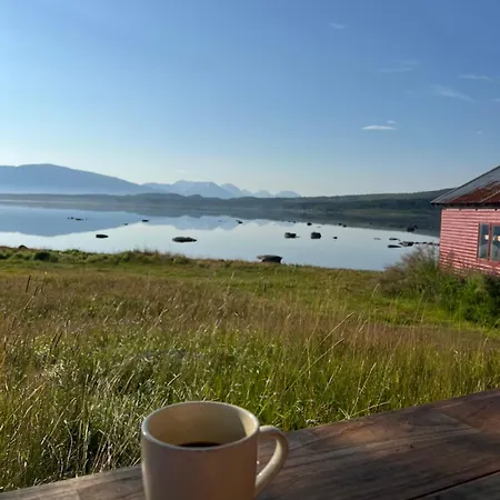 Charming Place In Tromso By The Sea.
