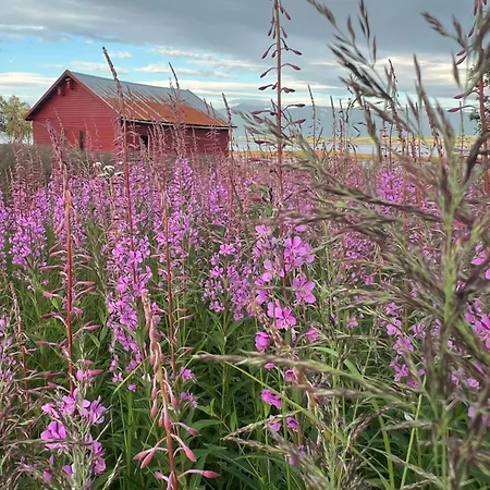Casa vacanze Charming Place In Tromso By The Sea. Hakoybotn