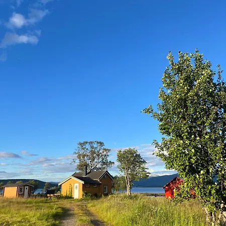 Charming Place In Tromso By The Sea. *