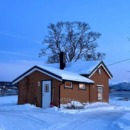 Charming Place In Tromso By The Sea. Hakoybotn