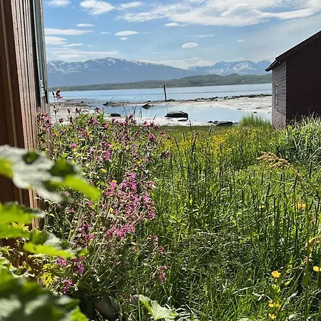 Casa vacanze Charming Place In Tromso By The Sea. Hakoybotn