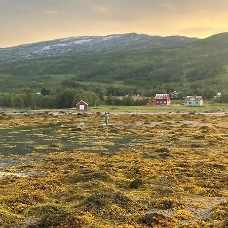 Charming Place In Tromso By The Sea. *
