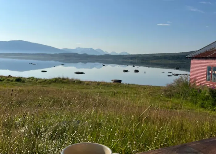 Charming Place In Tromso By The Sea.