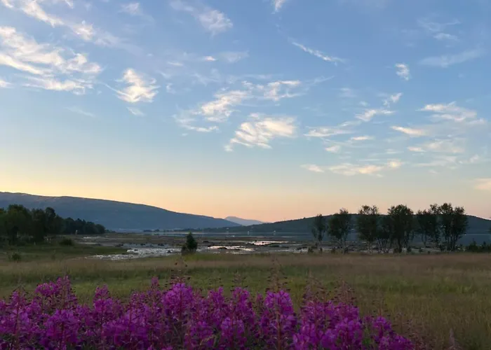 Holiday home Charming Place In Tromso By The Sea. Hakoybotn