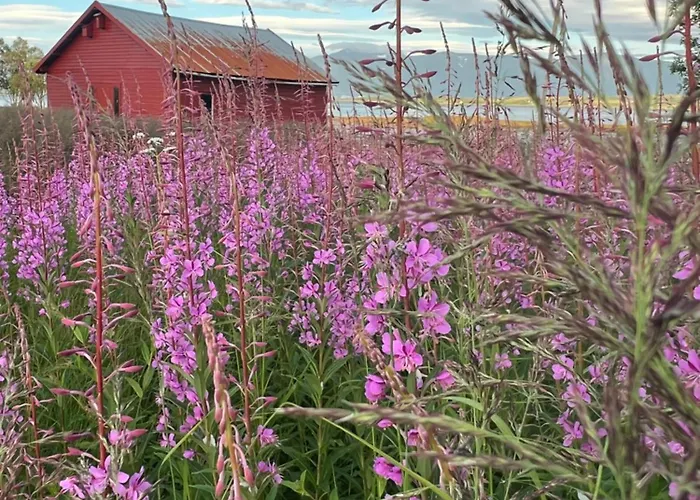 Holiday home Charming Place In Tromso By The Sea. Hakoybotn