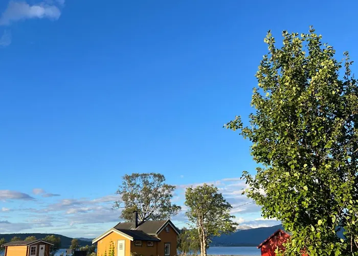 Charming Place In Tromso By The Sea. *