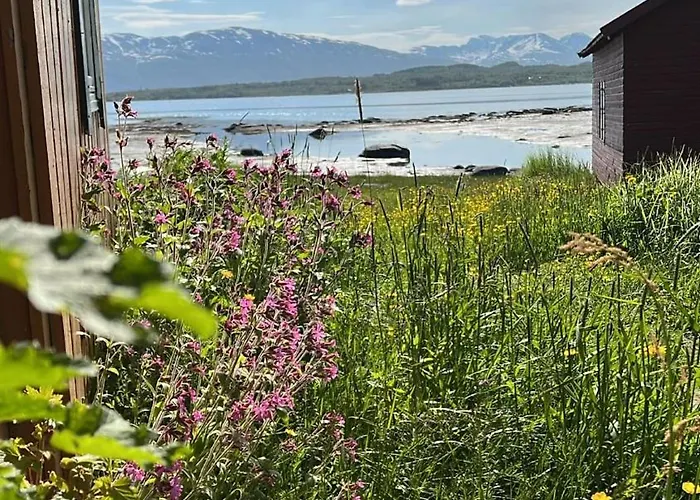 Holiday home Charming Place In Tromso By The Sea. Hakoybotn