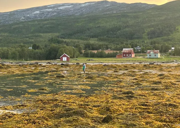 Charming Place In Tromso By The Sea. *